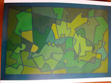 Quadro ollo su tela di Vincenzo Balsamo, dimensioni 40 per 60 del 1981,