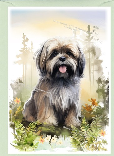 Biglietto auguri per cani - biglietto,