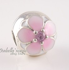 Magnolia Bloom Autentico