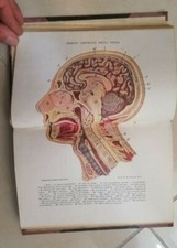 ZANON ELEMENTS OF BIOLOGY