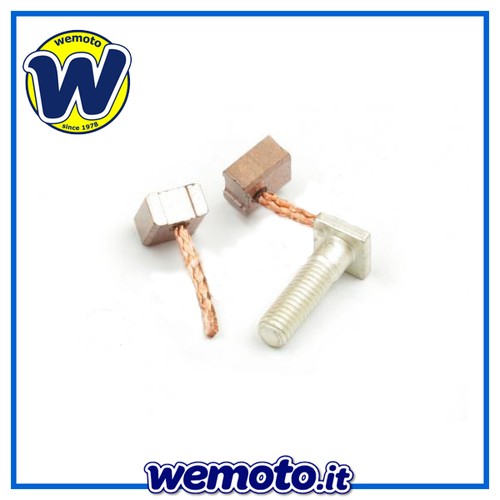 Kit set spazzole - per, revisione