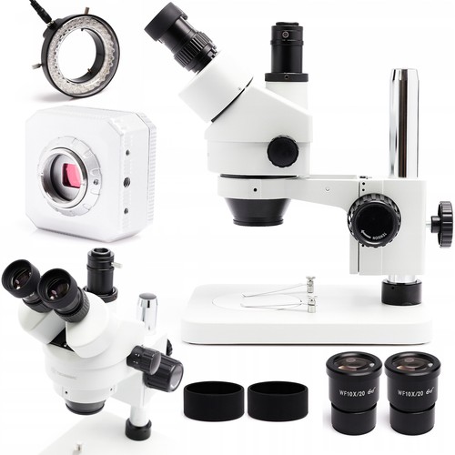 Microscopio stereoscopico