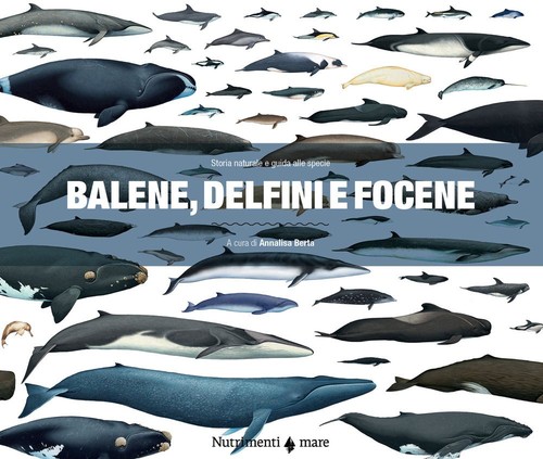 Libri balene delfini e - libri,