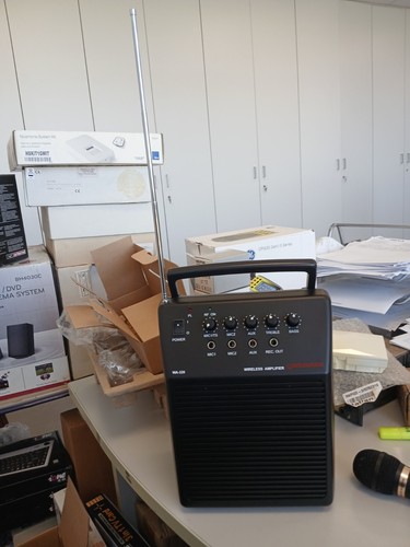 Goldsound cassa amplificata - goldsound,