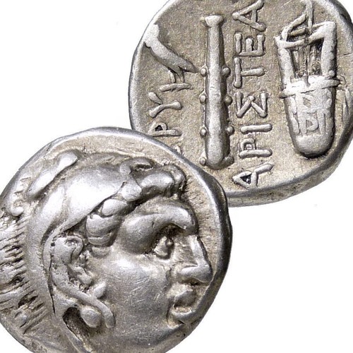 Herakles gufo custodia - gufo,,