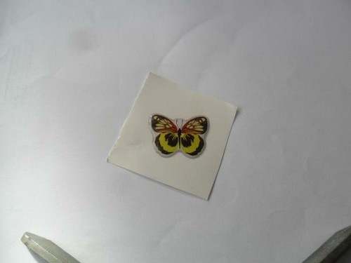 Coppia adesivi farfalle - adesivi,