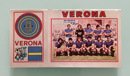 Verona scudetto squadra - verona,