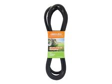 Cinghia di trasmissione  lame