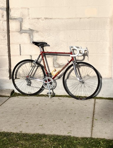 Gorgeous tommasini prestige - gorgeous!,