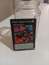 carta yu gi oh Numero 6