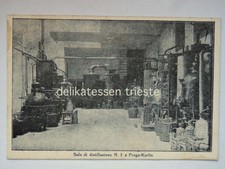 TRIESTE BARCOLA Brothers