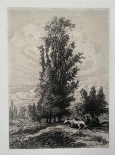 Mucche in un paesaggio