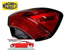 FANALE POSTERIORE DX ESTERNO