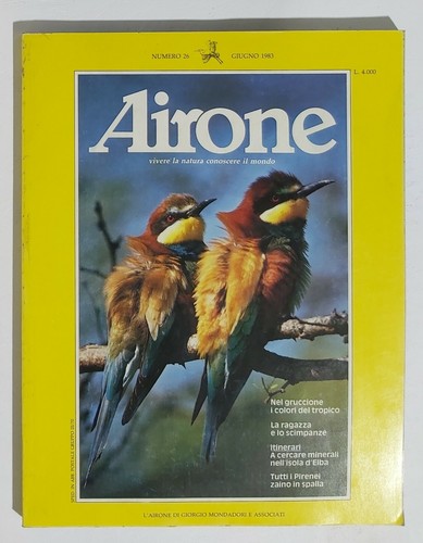 02563 airone iii 26 - iii,