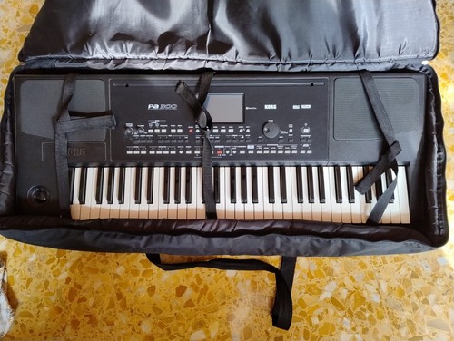 Korg pa300 professional - pa300,