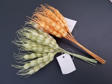 Spighe grano fiorellini - grano,