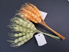 12 spighe di grano fiorellini