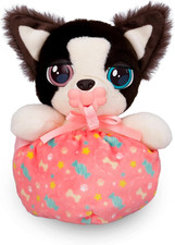 Mini cuccioli border - border, collie