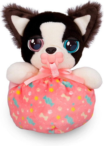 Mini cuccioli border collie - mini,