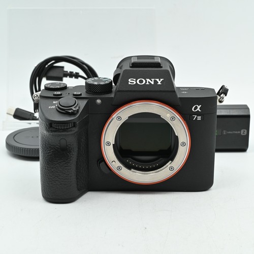 Fotocamera mirrorless sony - mirrorless,