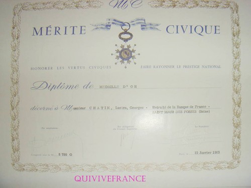 Dipl241 diploma del merito - del,