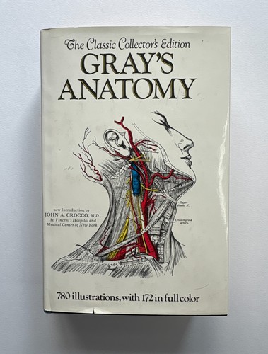 Gray anatomy collectors - anatomy,
