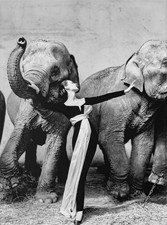 Abito vintage Richard Avedon