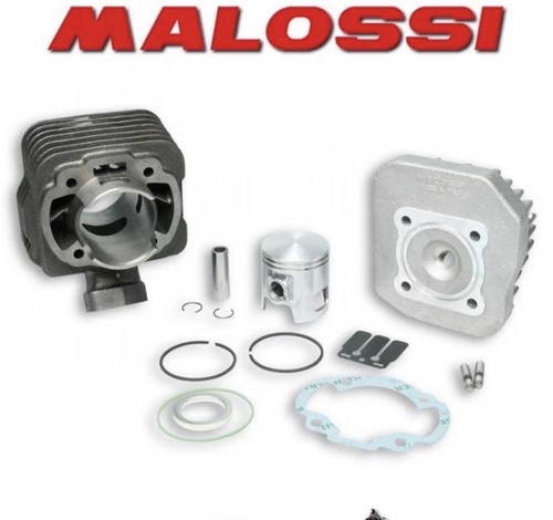 317133 gruppo termico malossi - gruppo,
