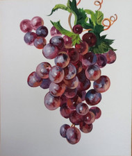 Natura morta dipinto originale