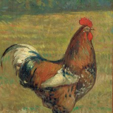 Dipinto Olio Gallo Ruspante Pollaio cm 20 x 30