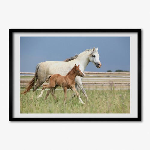 Quadro tulup mdf incorniciato - quadro,