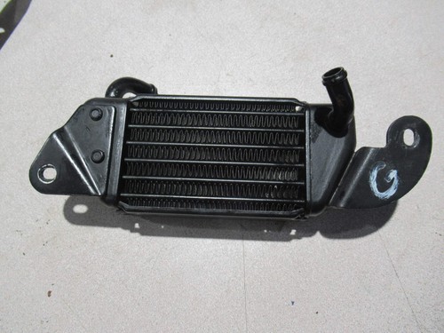Radiatore sinistro bmw r - sinistro,