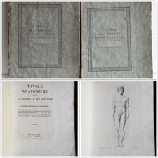 Tavole anatomiche per li pittori e gli scultori Sabattini 1814 Testo + Tavole