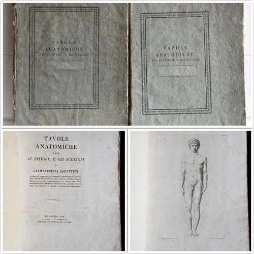 Tavole anatomiche per - , li