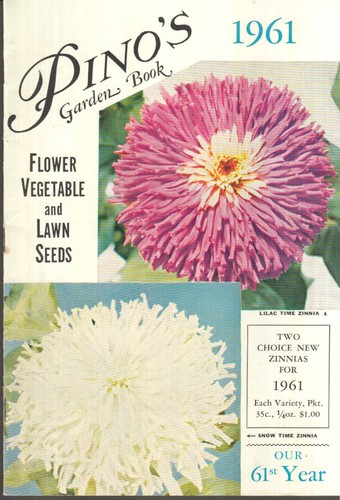 Libro giardino pino 1961 - pino,