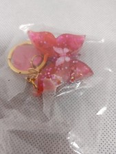 Portachiavi In Resina (1 PZ)