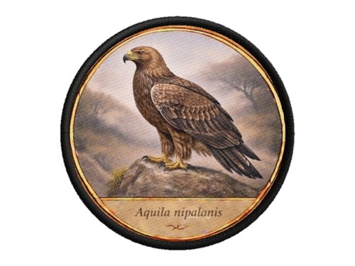 Toppe toppa patch stampado - toppe,