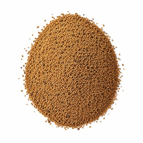 Semi erba medica alfalfa - di,