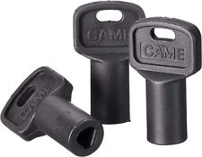 CAME 119RIY077 Chiave Di Sblocco Trilobata Per Motori CAME