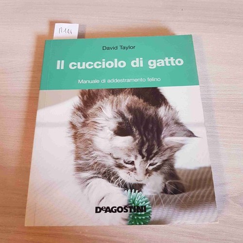 Cucciolo gatto manuale - gatto,