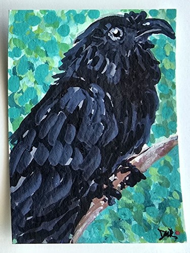 Original aceo raven black - raven,