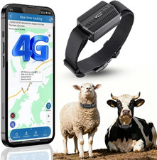 4G Localizzatore GPS Tracker