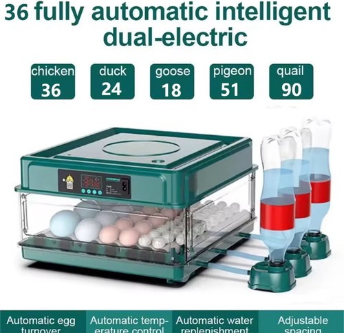 Incubatrice automatica per - incubatrice,