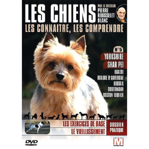 Cani conoscere figura - conoscere, i