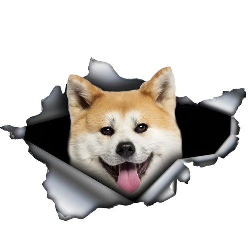 Akita adesivo per auto con - akita,
