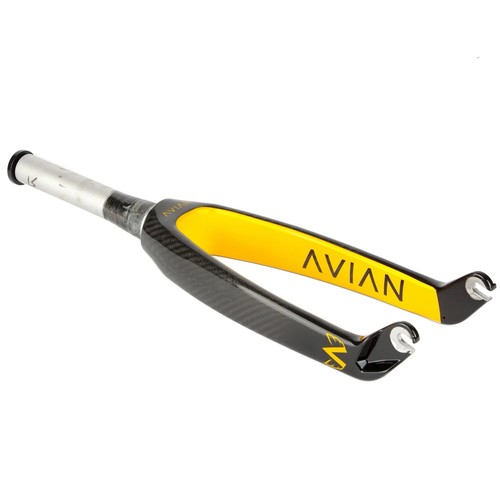 Avian versus cruiser - versus, 24”