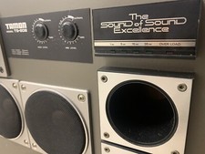 Rari Tamon *TS-808 Potentissimi Diffusori da 450-Watt (leggi descrizione)