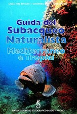 C. Bianchi G. Dore C. Morri