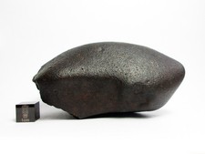 NWA x Meteorite 319,60 g