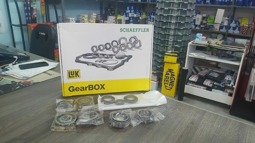 Kit cuscinetti cambio fiat - cambio,